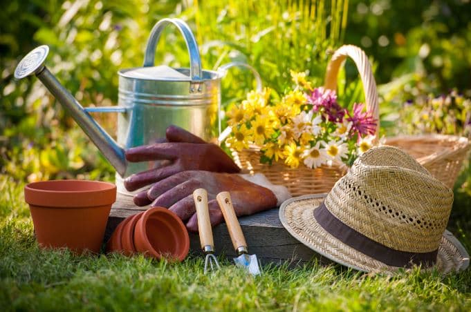 Cuidados Técnicos Manutenção de Grama