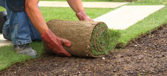 Como preparar o terreno e plantar grama corretamente